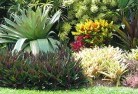 QLD Sunnysideorganic-gardening-14.jpg; ?>